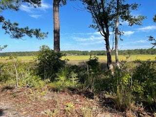 Sawgrass Dunes at Holden Beach - Sandy Marshfront lot only 6 miles to the beach