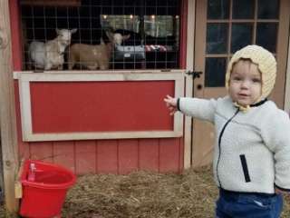 Candy Mountain Goat Farm