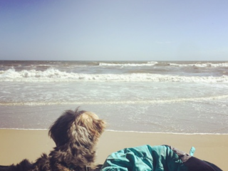 Cape Point — Cape Lookout National Seashore