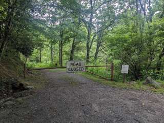 New River Alleghany Access Primitive Group Paddle-in — New River State Park