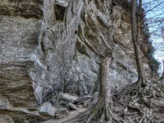 Family Wilderness Camp — Raven Rock State Park