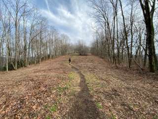 Jones Gap Backcountry Campsite