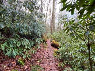 Whiterock Gap Backcountry Campsite