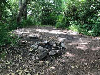 Albert Mountain Firetower Dispersed Campsite 