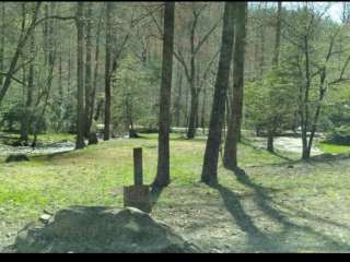 Fires Creek Hunters Camp/Huskins Branch