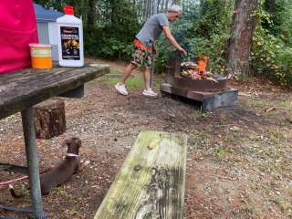 Croatan National Forest Oyster Point Campground