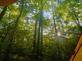 Mooney Gap Trailhead Campsite