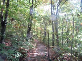 Elk Knob State Park