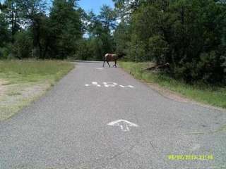 Houston Mesa Campground