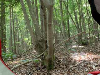 Uwharrie National Forest Yates Place