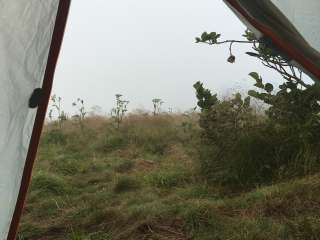 Grassy Ridge Bald - Dispersed BackCountry