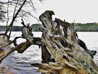 New Hope Overlook Primitive Campground — Jordan Lake State Recreation Area