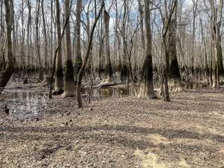 Marsh Wildlife Management Area