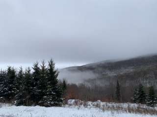 Hickory Ridge Campground — Grayson Highlands State Park