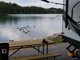 Lotterdale Cove Campground