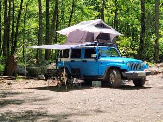 Tellico River Campgrounds