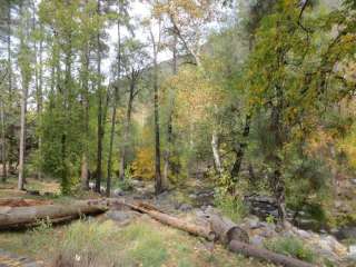 Manzanita Campground