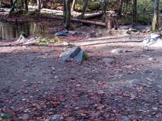 Sourwood Campground