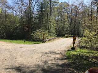 Holly Flats Campground