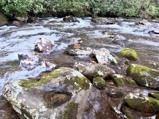 Holder Cove Campground