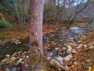 Creekside Stayz Glamping and camping in the Smokies