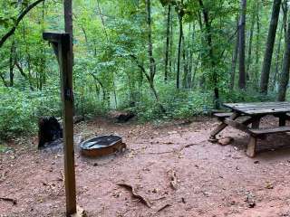 Pine Point Primitive Campground — Table Rock State Park