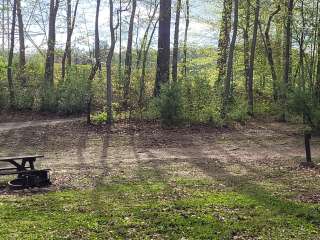 Backcountry Site 1 — Norris Dam State Park