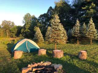 Pioneer Trails Tree Farm Campground