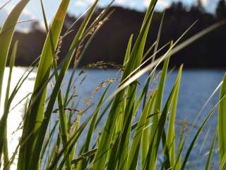 Lake O Pines Recreation