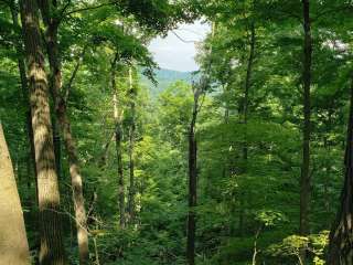 Kinderhook Horse Trail