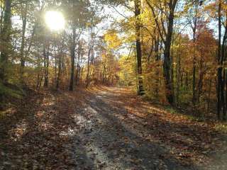 Wisteria Campground and Event Site