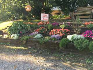 Amish Country Campsites