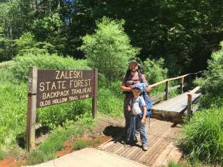 Zaleski State Forest