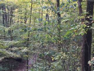 Miami Whitewater Forest Campground