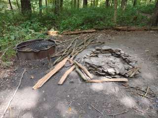 Mohican Memorial State Forest Park and Pack Site 1