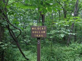 Wildcat Hollow Hiking Trail Dispersed