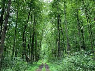 New Straitsville Trailhead