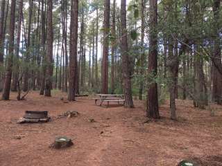 Ponderosa Campground (AZ) Tonto National Forest