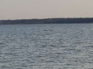 Lake McMurtry West Campground