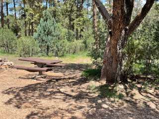 Chevelon Canyon Lake Campground