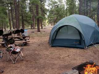 Rolfe C. Hoyer Campground