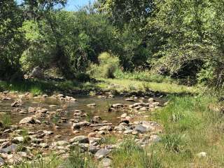 Beaver Creek Oasis