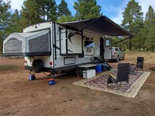 Hart Prairie - Dispersed Camping 