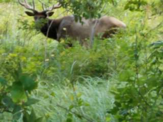 Military Park Fort Sill Medicine Creek RV Park