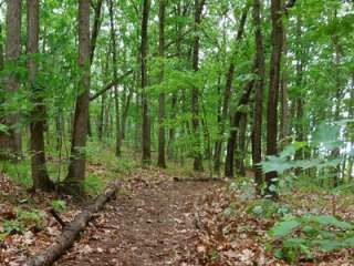 Bluestem Lake