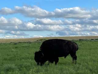 Wichita Mountains Wildlife Refuge Campground