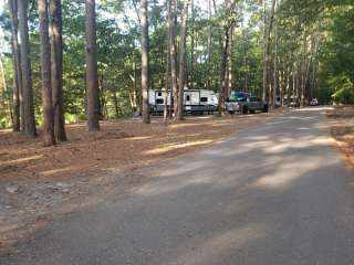 Fern Campground — Beavers Bend State Park