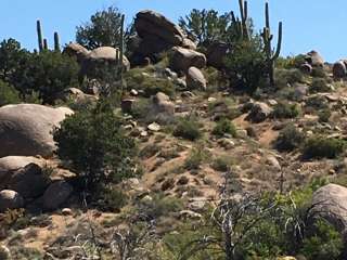 Tonto National Forest Seven Springs Campground