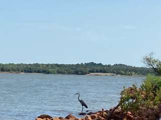 Critter Alley — Lake Thunderbird State Park