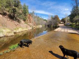 Bear Flat Campground